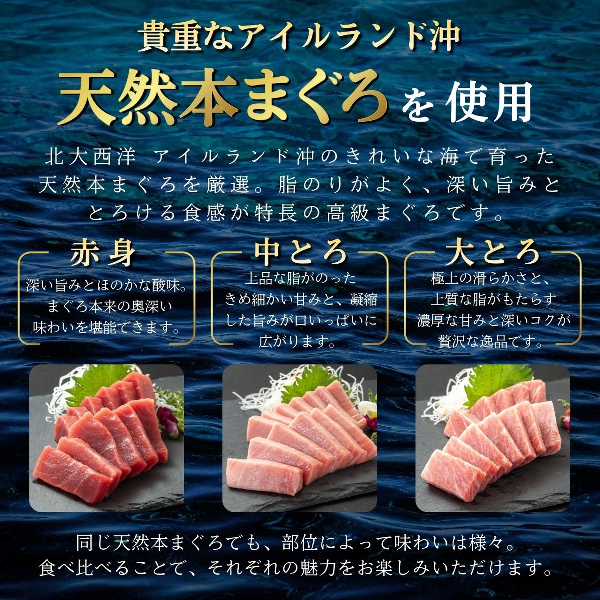 極寒本鮪(天然本まぐろ)セットA 赤身約200g×2、中とろ約200g×1、大とろ